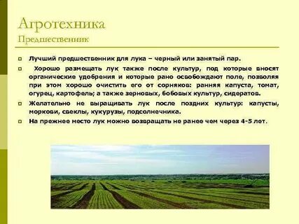 Агротехника описание