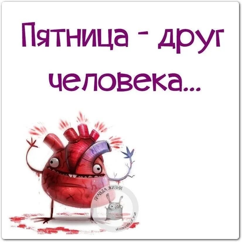 Веселые открытки с пятницей. Пятница открытка смешная. Пятница это прекрасно. Пятница юмор. Пятница это прекрасно.
