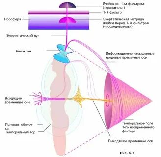Энергетические составляющие