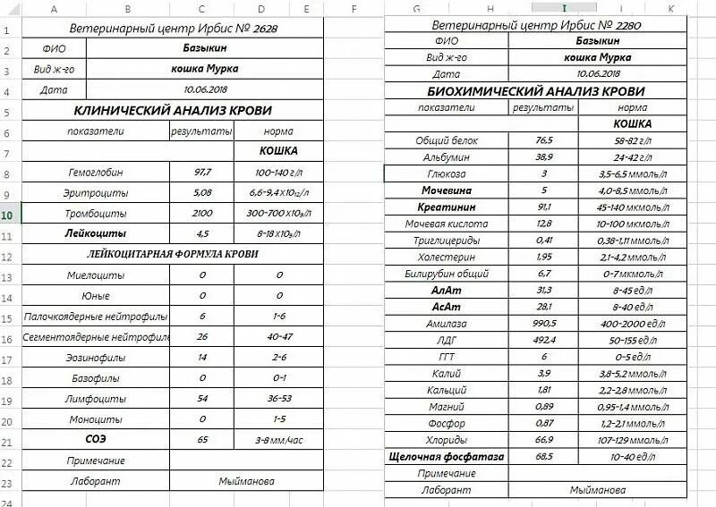 Расшифровка анализа крови у кошек биохимия. Показатели биохимического анализа крови кошек. Показатели биохимии крови кошек норма. Биохимические показатели крови кошек в норме. Биохимия показатели расшифровка