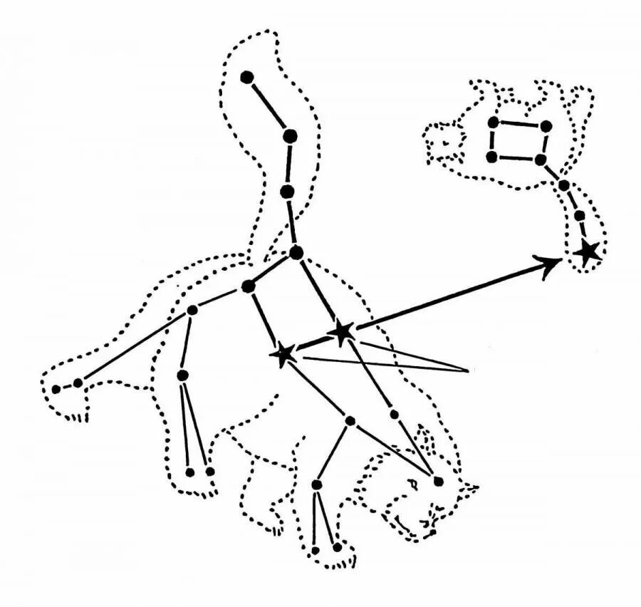 Созвездие малой медведицы схема. Созвездие большая Медведица схема по точкам. Созвездие большой медведицы схема созвездия. Большая и малая Медведица Созвездие Полярная звезда. Соединить большую медведицу