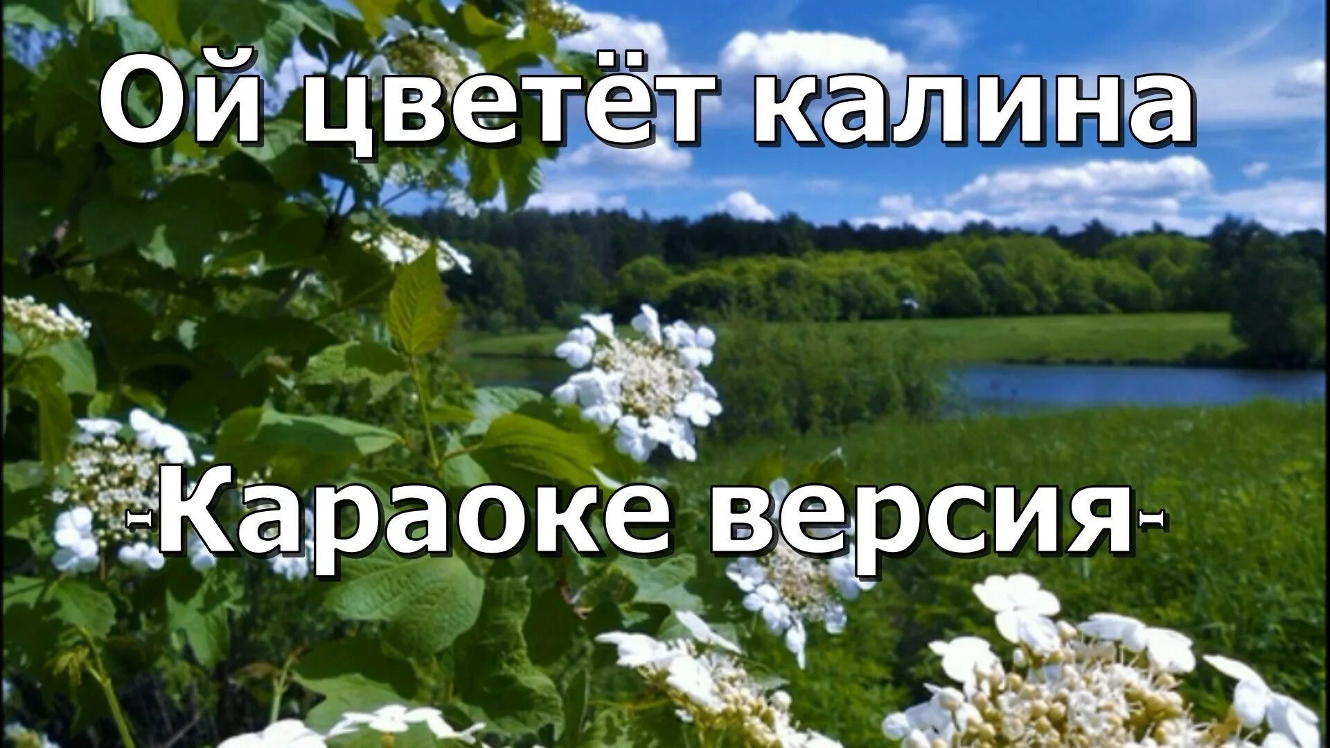 Текст песни в речке талая вода. Ой цветёт Калина караоке. Ой цветёт Калина в поле караоке. Ой цветёт Калина в поле у ручья. Караоке Ой цветет Калина в поле у ручья.