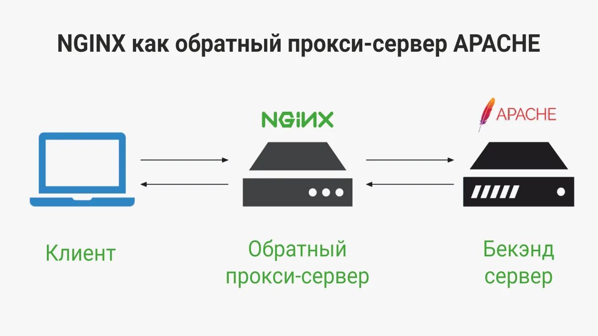 Nginx прокси. Реверс прокси nginx. Nginx обратный прокси. Веб сервер nginx. Proxy path