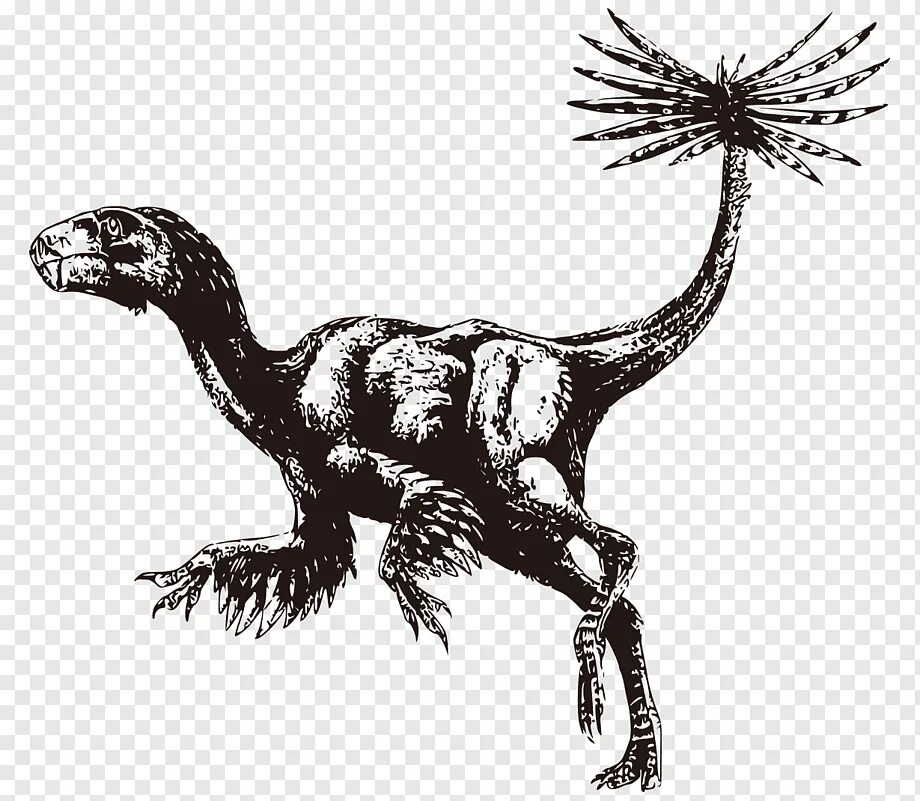 Овираптор арк. Каудиптерикс. Теризинозавр. Археоптерикс + Велоцираптор. Динозавра Caudipteryx.