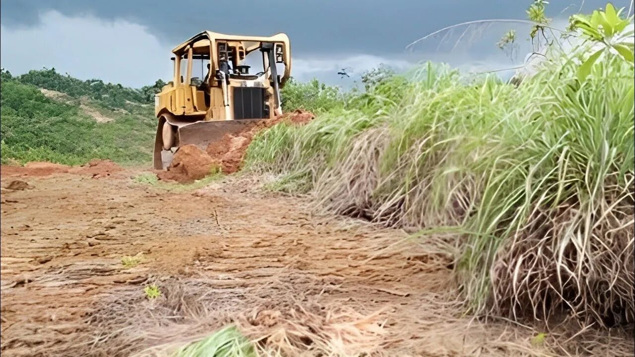 Clearing land