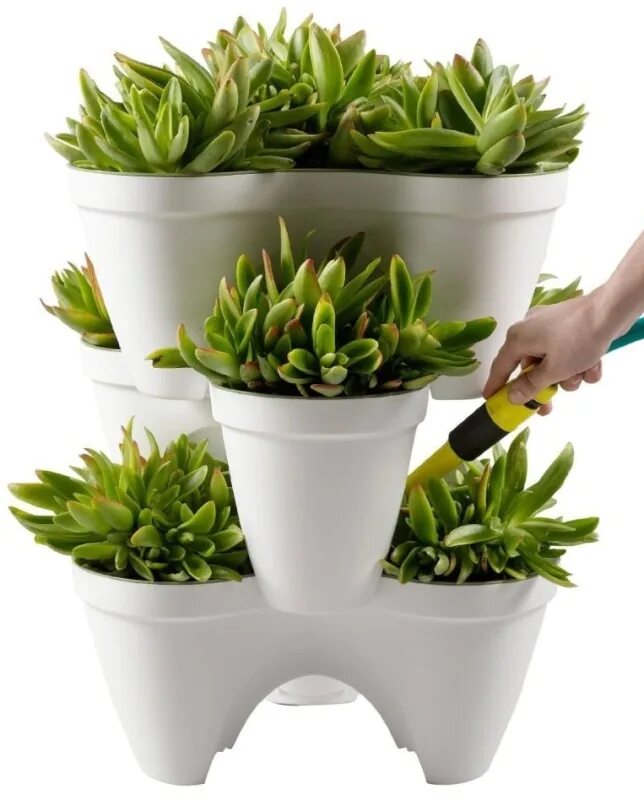 можно ходить в горшке. комнатные цветы спатифиллум пересадка. пересаживание комнатных растений. трава в горшке. можно ходить в горшке.