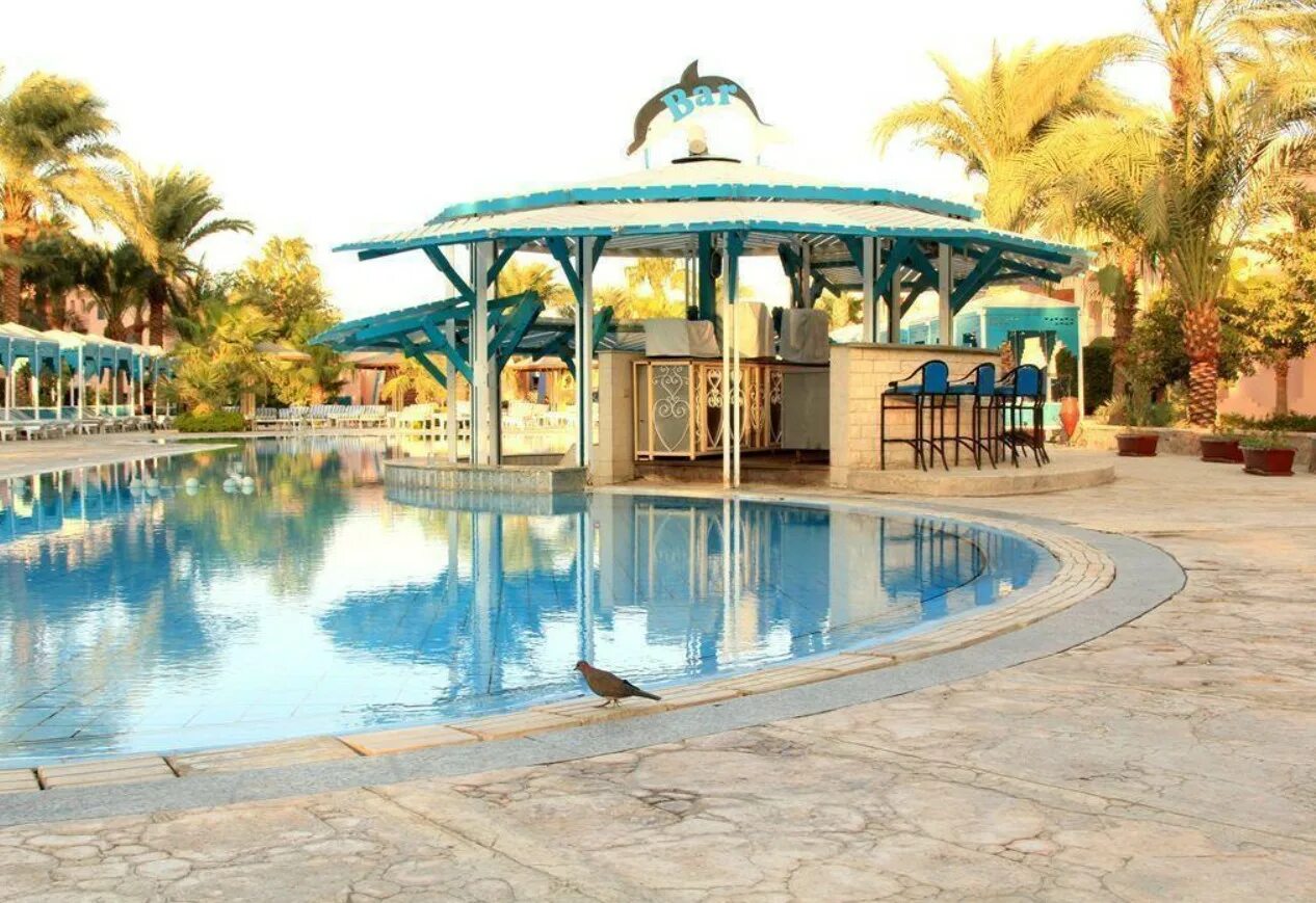 Pacha resort 4 хургада. Хургада le Pacha Resort. Le Pacha Resort 4* Хургада, 200 м до моря. Де Пача Резорт Египет. Отель в Египте le Pacha.