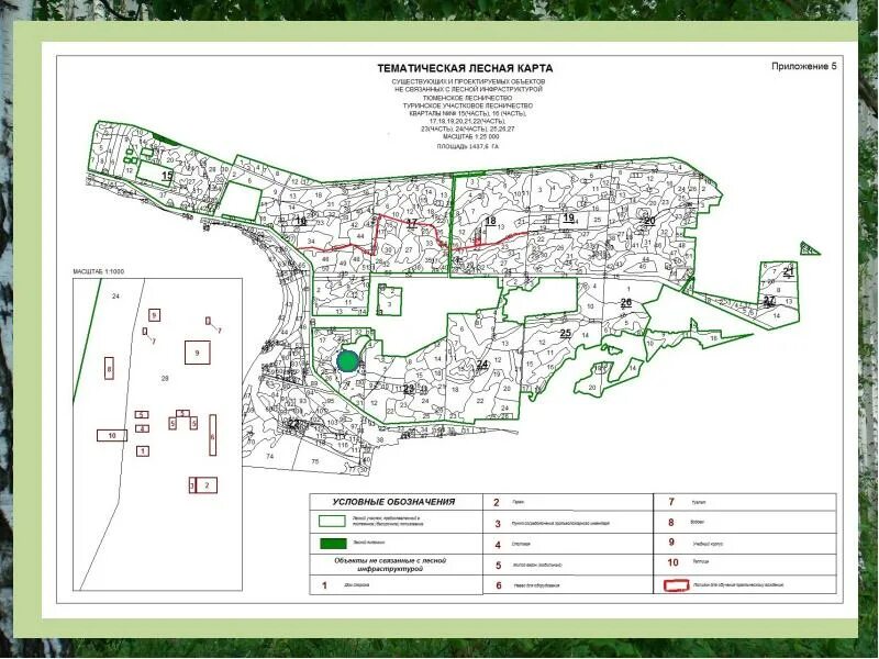 План лесного участка. Тематическая Лесная карта. План лесничества. План в схему лесного участка. Карта участков лесничества