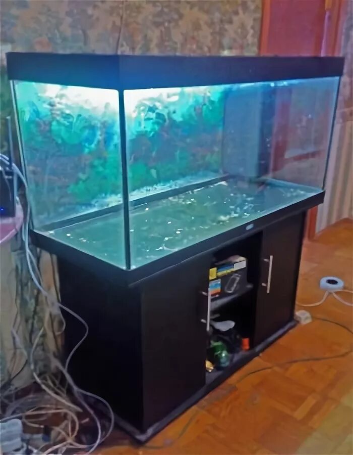 аквариумная барахолка. аквариумная барахолка. большой немецкий аквариум купить 350. аквариум с сампом сзади. аквариумная барахолка.