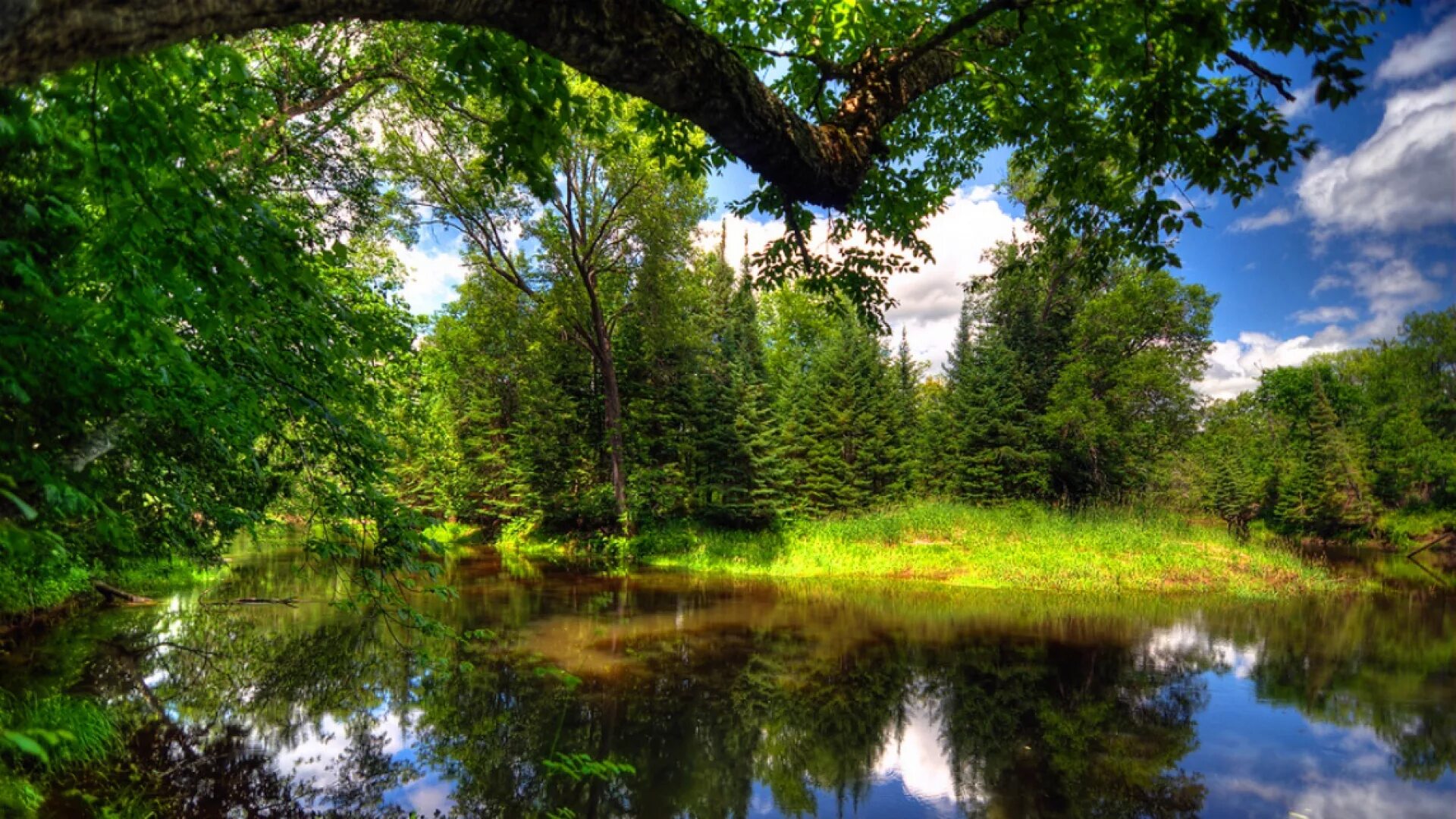 Красивая природа короткие. Картинки лето природа на телефон на обои. фото природы в высоком качестве вертикальные пейзажи на телефон. paisagem. banbu paisagem hd.