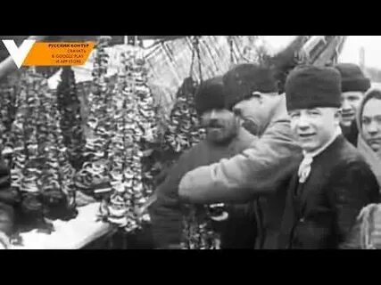 Исчезновение липы в дореволюционной москве связано с