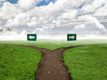 Split path