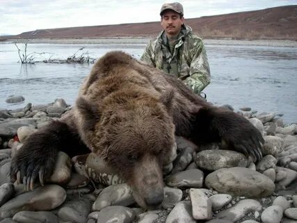 Bear hunting