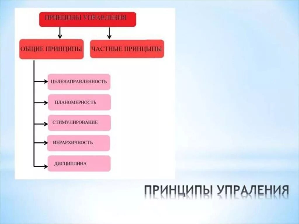 Принцип дисциплины. Принципы дисциплины. Основы менеджмента презентация. Принцип дисциплины в управлении. Целенаправленность деятельности.