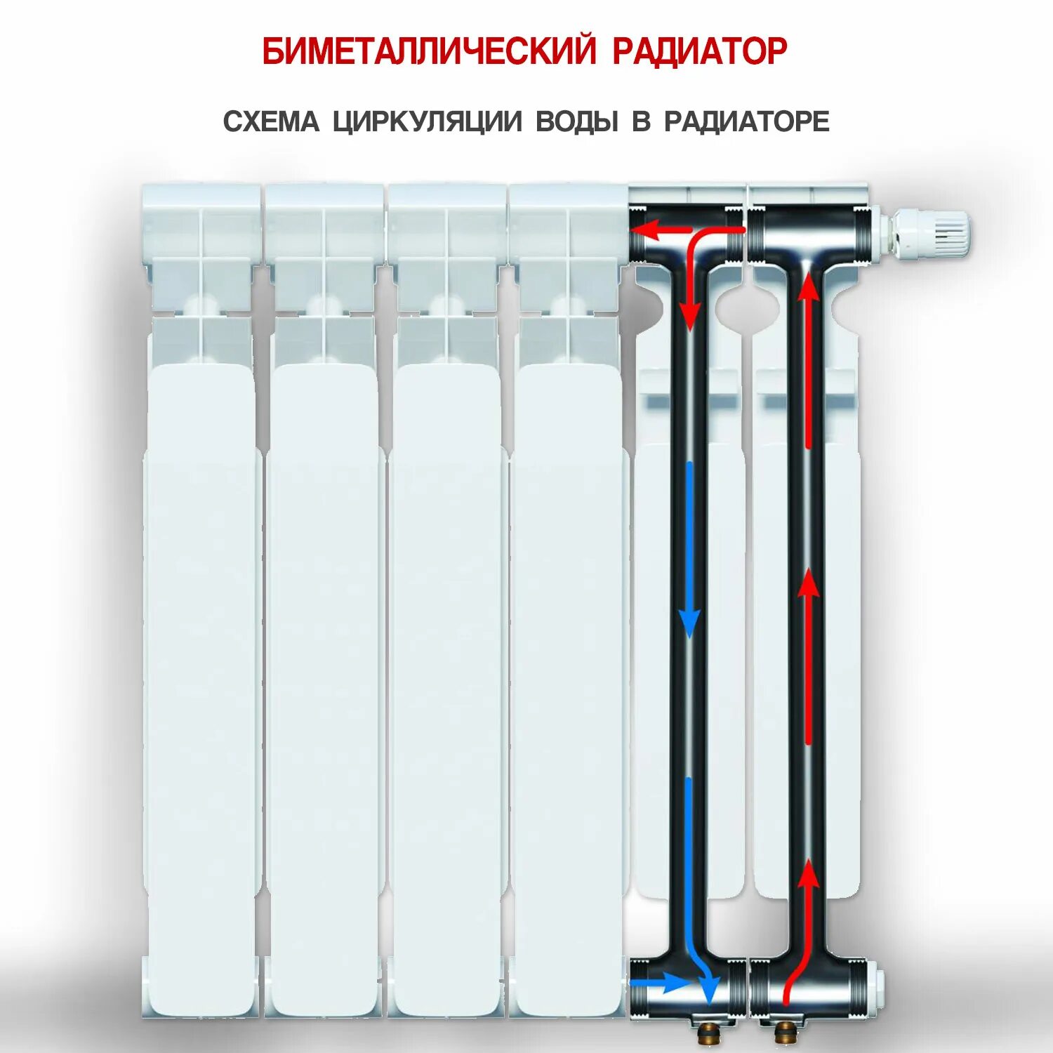 Огинт биметаллические радиаторы. Схема циркуляции воды в биметаллических батарей. Циркуляция в биметаллическом радиаторе. Размер биметаллических радиаторов 10. Рейтинг биметаллических радиаторов отопления