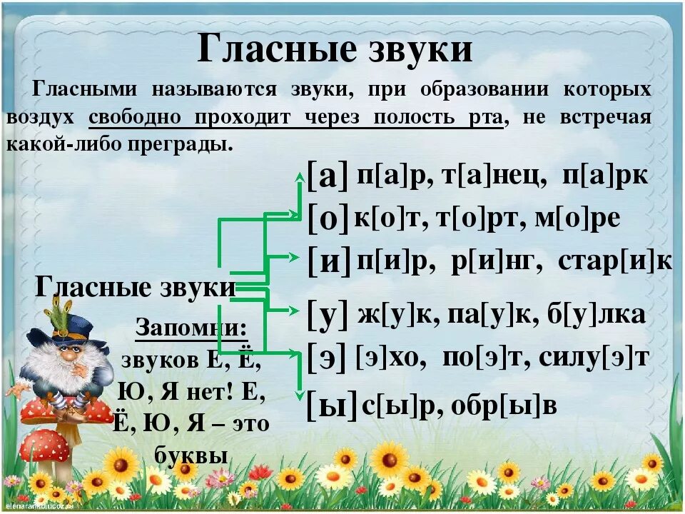 Звуки примеры русский язык. Гласные звуки. Фонетика 5 класс. Фонетика звуки и буквы русского языка. Примеры фонетики в русском языке.