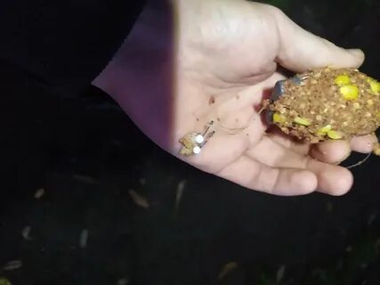 Хлеб приманка