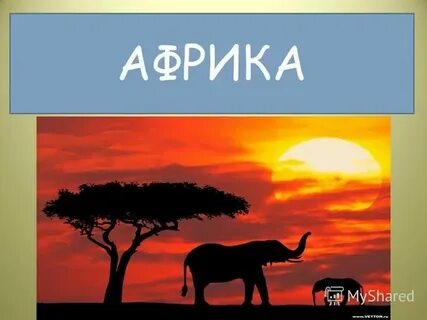 Площадь африки америки