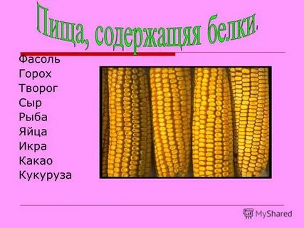 Кукуруза питательные вещества