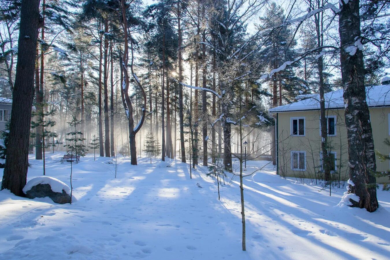 Лось лосево. Добрый Лось база отдыха Лосево. Лосево Приозерский район добрый Лось. Турбаза добрый Лось Ленинградская область. Добрый Лось Лосево бассейн.