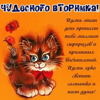 С вторником прикольные смешные надписями картинки