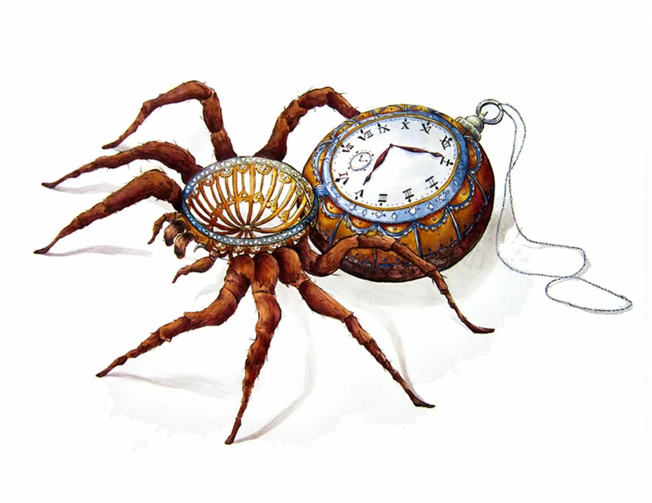 Clock spider