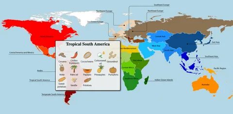 What is map