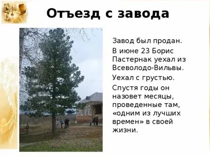 Пастернак всеволодо вильва