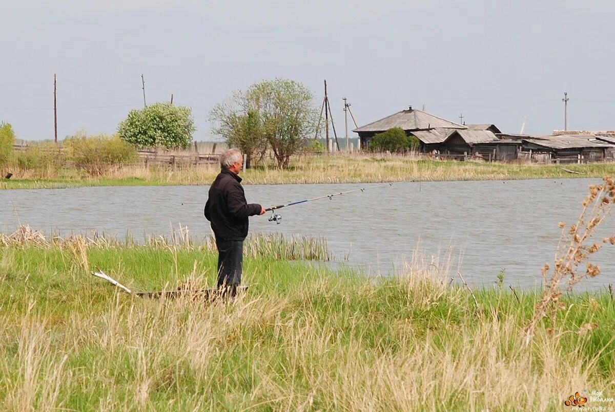Рыбалка в курганской области. Озеро Кривское Курганская. Озеро Алакуль Курганская область. Озеро Кривское Курганская область рыбалка. Озеро Такташинское Курганская область.