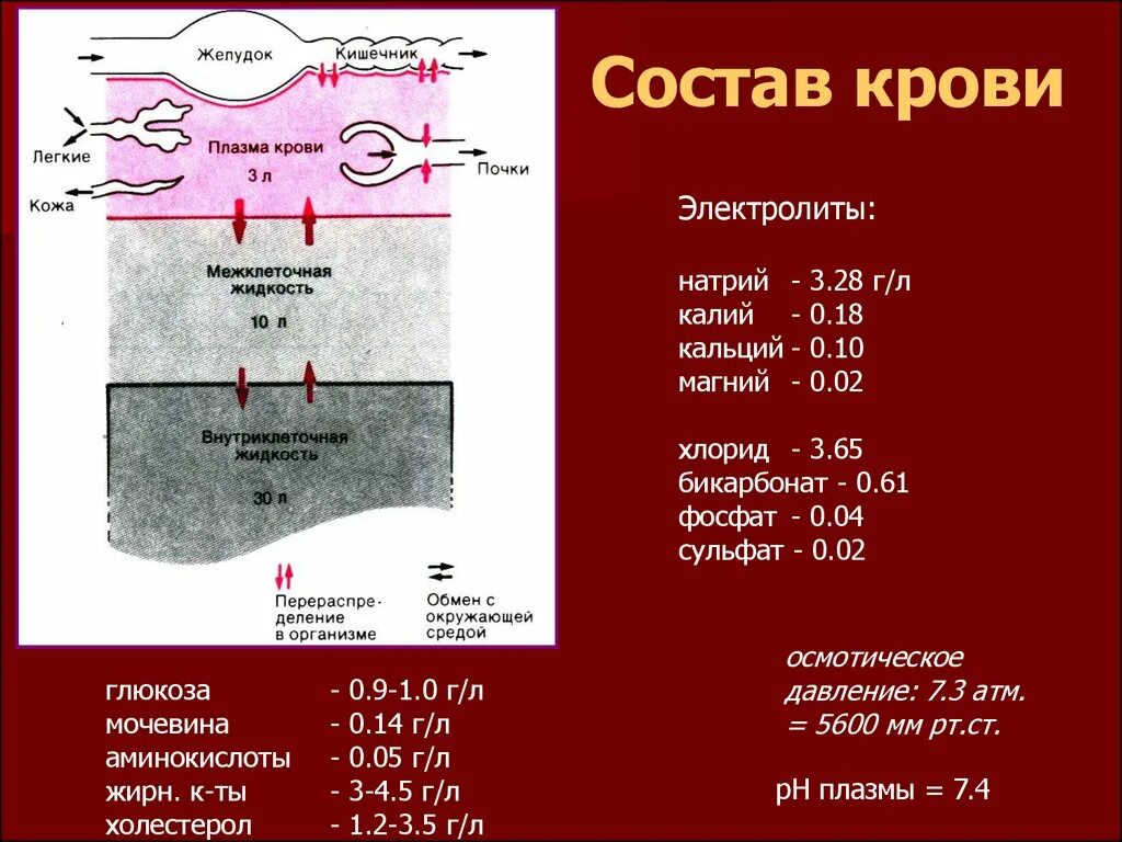 Натрий в крови повышен у мужчин. Электролиты крови норма. Электролиты плазмы крови. Электролиты крови натрий. Электролиты крови na++.