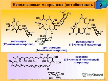 Антибиотики корень