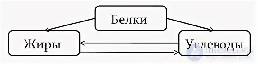 Белки жиры углеводы задания егэ биология