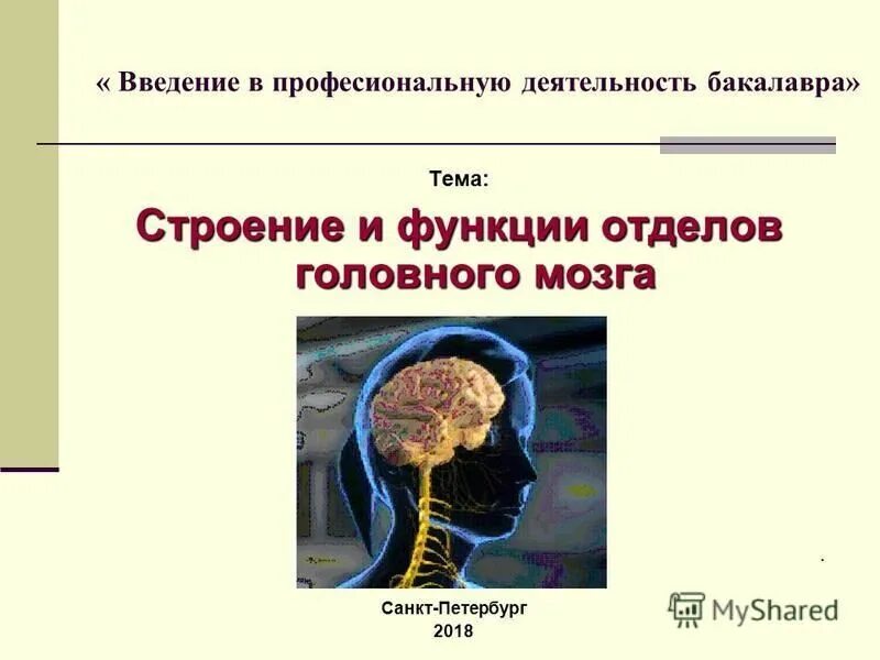 Самый маленький отдел головного мозга. Презентация на тему строение и функции головного мозга 8 класс. Введение мозг. Строение и функции отделов головного мозга 8 класс презентация. Повреждение передних отделов головного мозга.