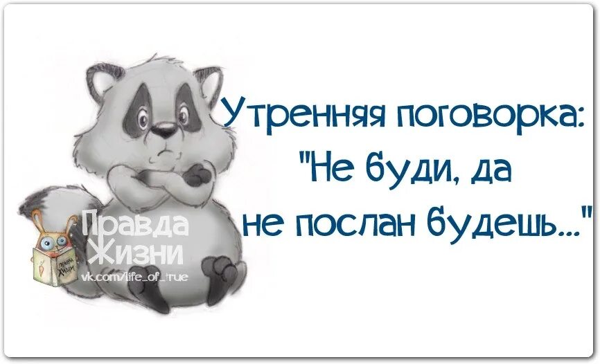 Разбуди будила. Правда жизни. Проснулся сам Разбуди другого. Проснулся сам буди другого открытки. Утренние пословицы.