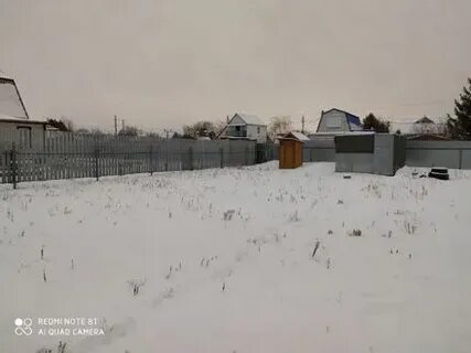 Кинель лебедь