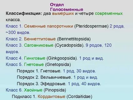 Голосеменные классификация