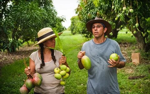 Fruit hunter