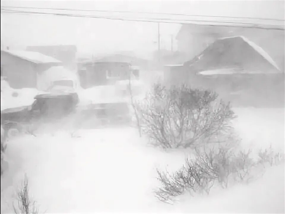 Blizzard Storm Snow, Relaxing Winter Wind Sounds Sleep, Snowstorm - YouTube