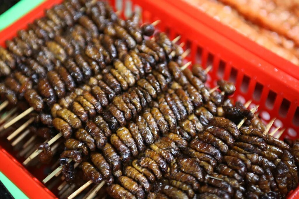 Вкусно жук