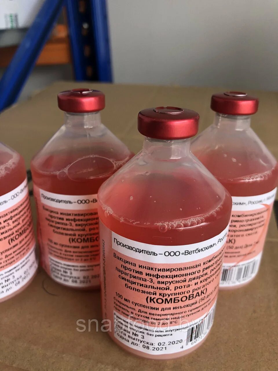 Вакцина против инфекционного ринотрахеита. Комбовак вакцина для крс. Вакцина комбовак 50 доз. Вакцина против пастереллеза крс. Вакцина против инфекционного ринотрахеита.