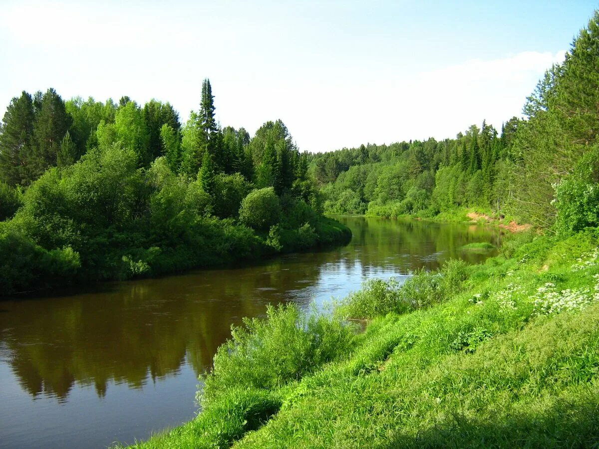 Кильмезь река Лобань. Река Лобань Кировская область. Река Великая Кировская область. Река Лобань. Но до чего же красива река лобань