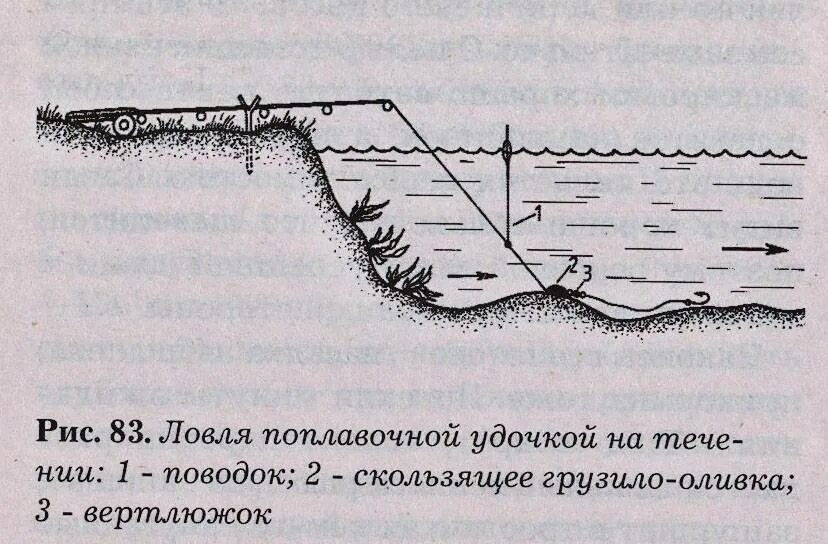 Как ловить карпа на удочку