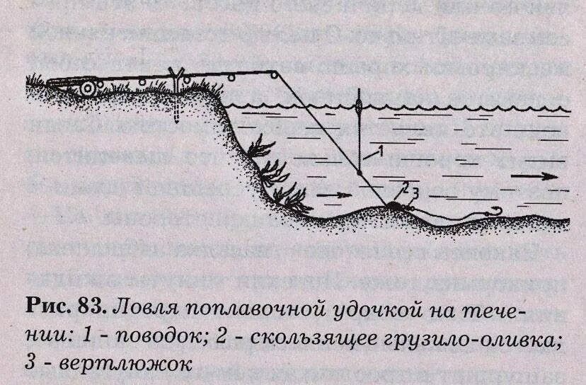 Ловля на реке с течением. Оснастка поплавочной удочки на сазана на течении. Оснастка поплавочной удочки для ловли сазана. Оснастка удочки на сазана с поплавком. Поплавочная снасть для ловли сазана.