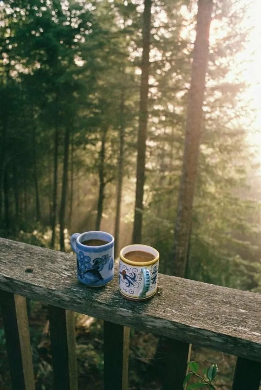 Открытка доброе утро лес. Чай на природе. Утренний кофе на природе. Чашка кофе на природе. Доброе утро лес.