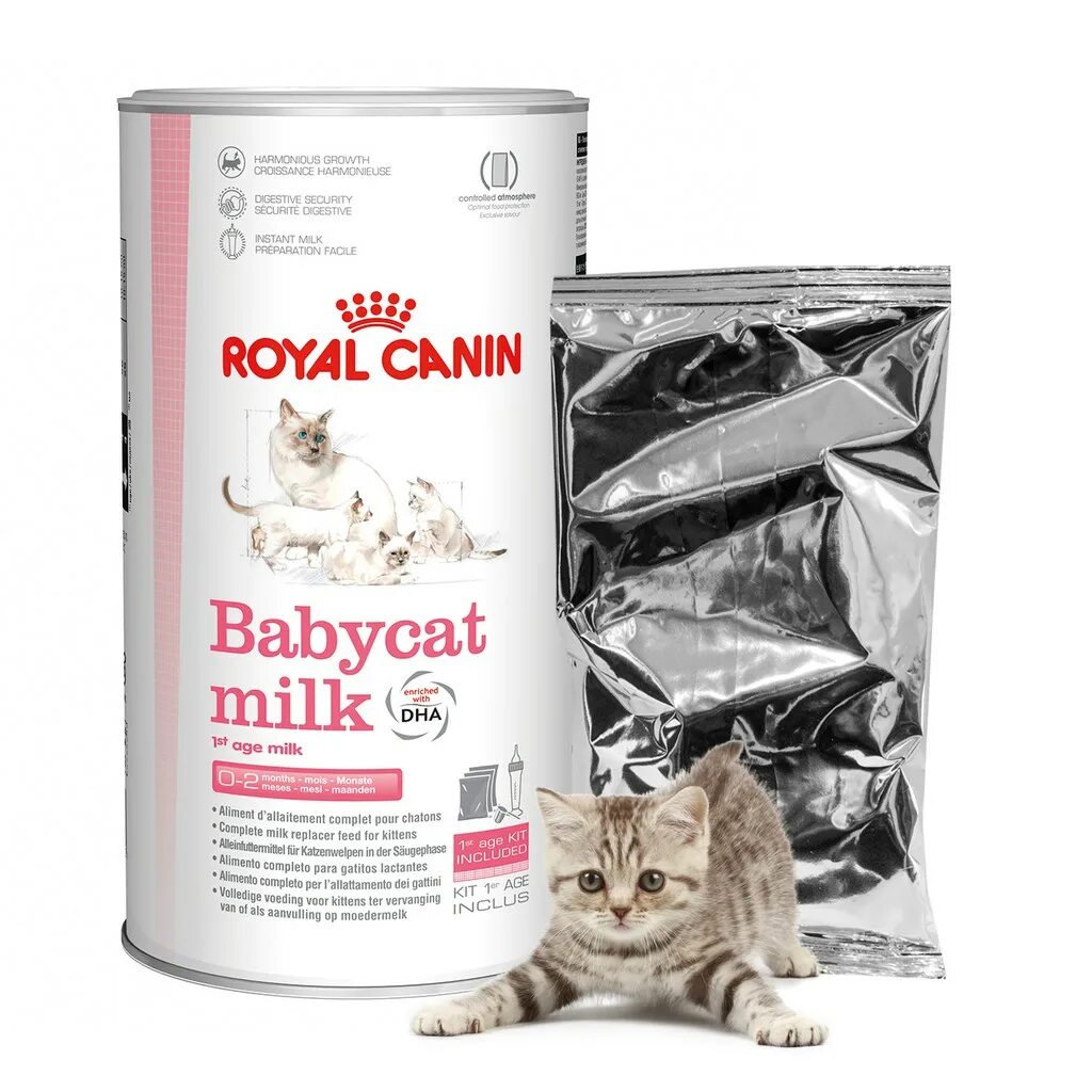 Можно кормить котят детскими смесями. Роял Канин бэби Кэт Милк. Royal Canin Babycat Milk молоко сухое для котят. Роял Канин молочко для котят. Royal Canin смесь для котят.