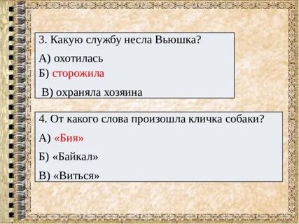 Последовательность происхождения клички собаки выскочка