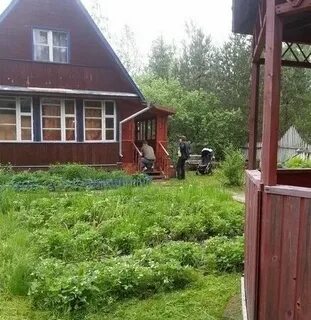 Витебский красницы