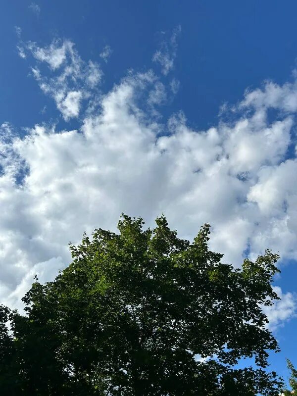 морфологическая классификация облаков. облака стали ниже. под иркутском облака встали 12345. дождевые тучи. ай петри вид сверху облака.