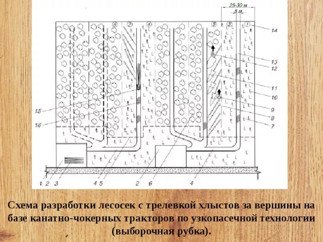 Сплошные выборочные рубки. Среднепасечная технология разработки лесосеки. Среднепасечная технология разработки лесосек схема. Схема разработки лесосеки Харвестером. Составление схемы разработки лесосек (делянок).