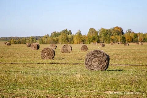 Утильсбор из белоруссии